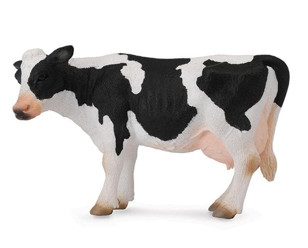 Friesian Cow 88481