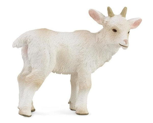 Goat Kid 88786