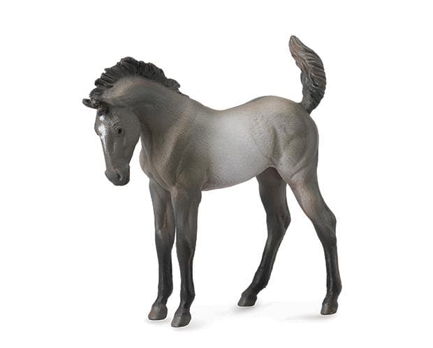Mustang Foal | Grulla 88546