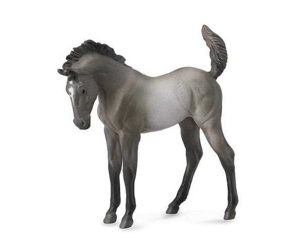Mustang Foal | Grulla 88546