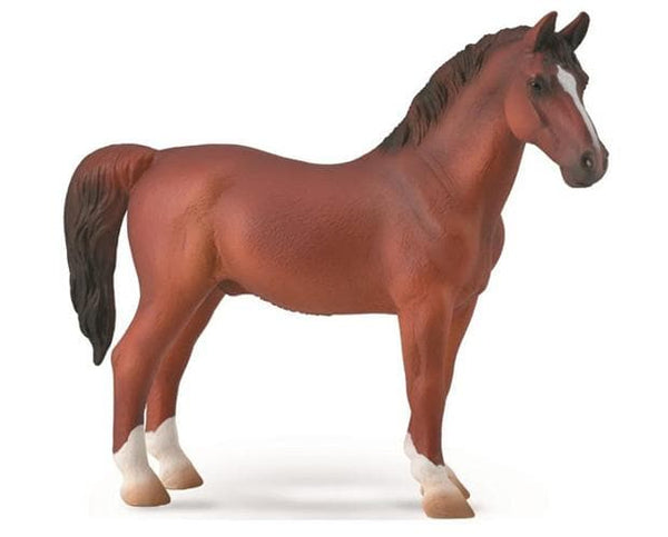 Hackney Stallion | Chestnut 88915