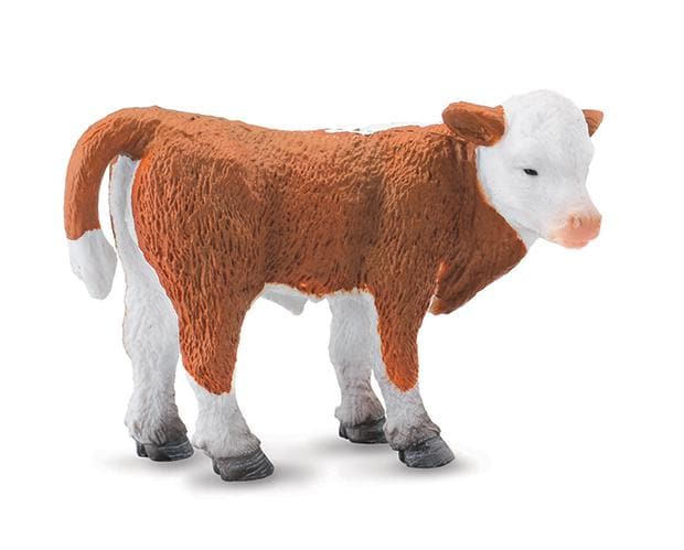 Hereford Calf - Standing  88236