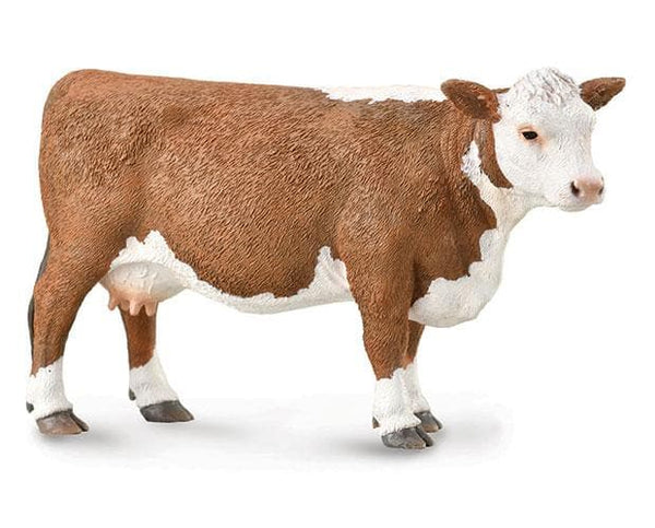 Hereford Cow 88860
