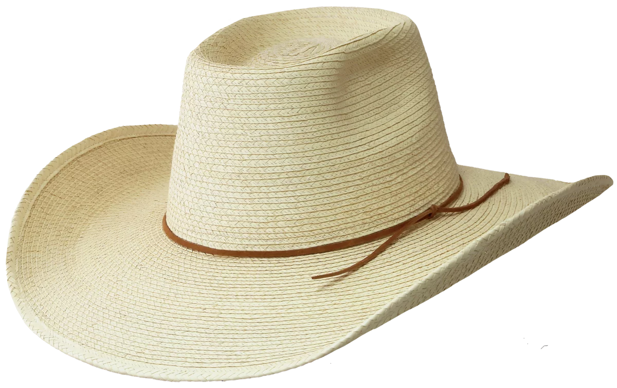 SUNBODY REATA TWO hg45+R2