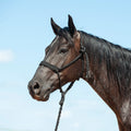 HTR-BMTH Flat Braid Halter with Leadrope