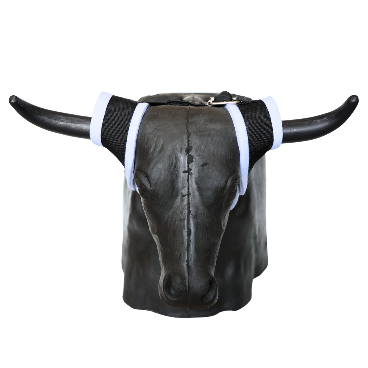 SMARTY RODEO | BONES 2.0