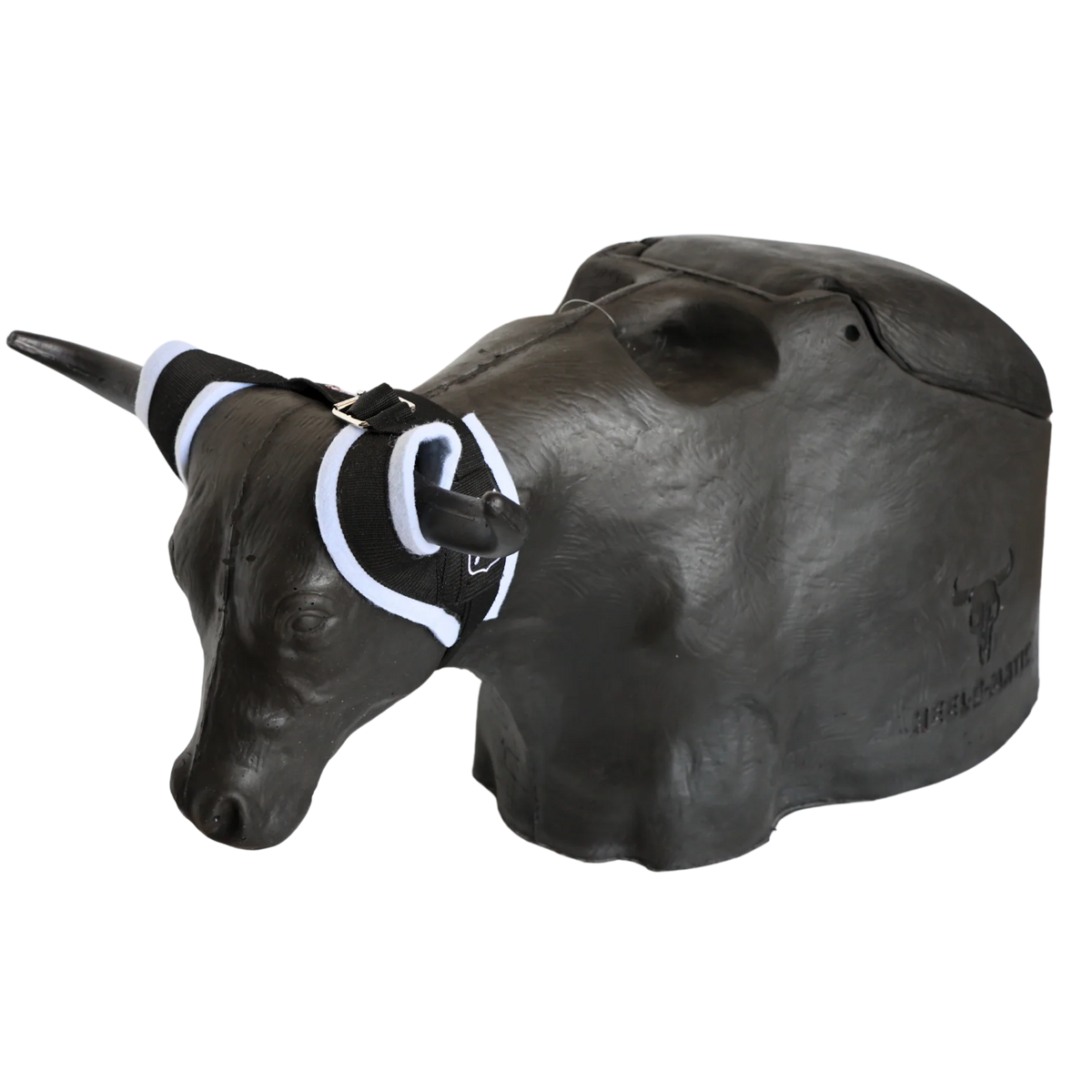 SMARTY RODEO | BONES 2.0