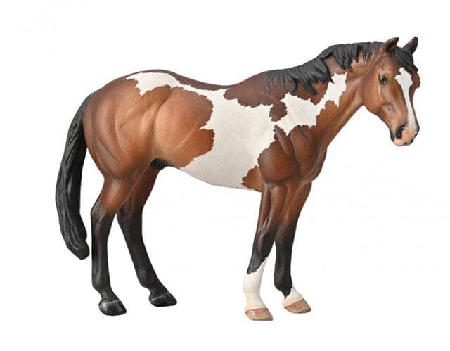 Paint Horse | Bay Overo 88956