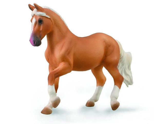 Paso Fino Mare | Palomino 88924