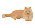 Persian Cat 88330