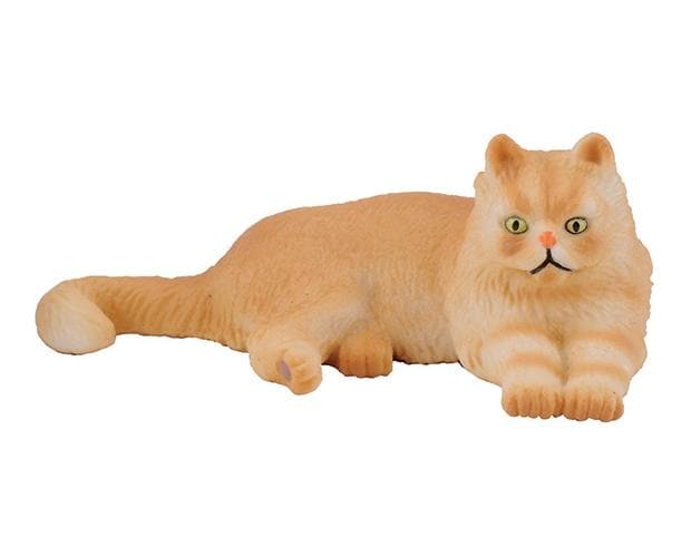 Persian Cat 88330