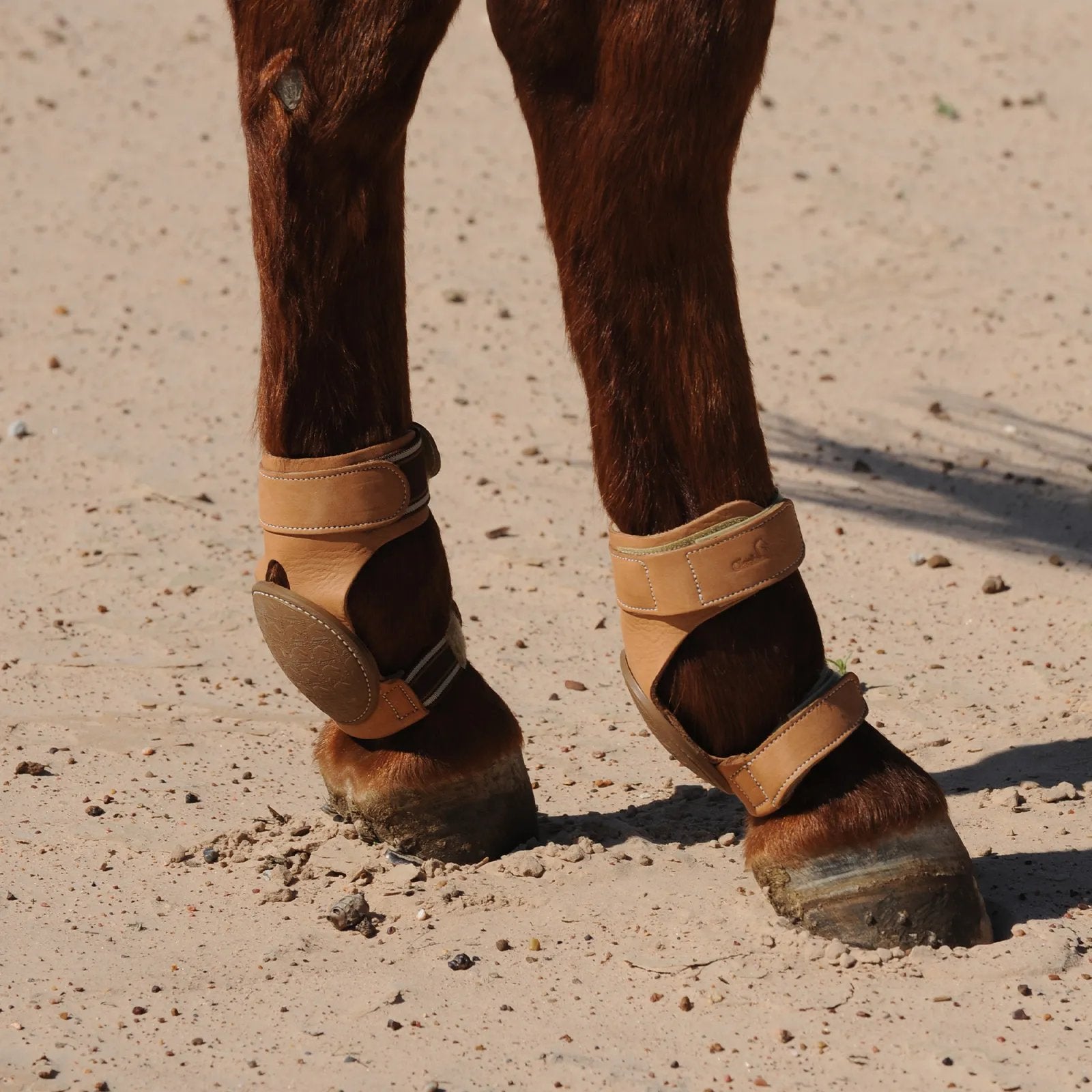 PRSB202 Pro Reiner Skid Boots