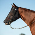Quiet Ride Fly Mask Long Nose QRHL