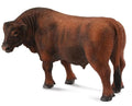 Red Angus Bull 88508