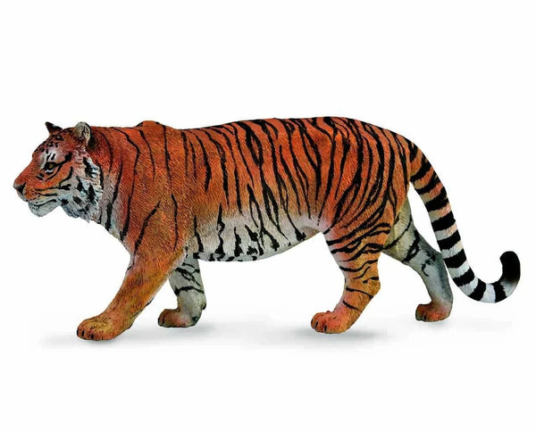 Siberian Tiger 88789