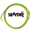 SPYDR
