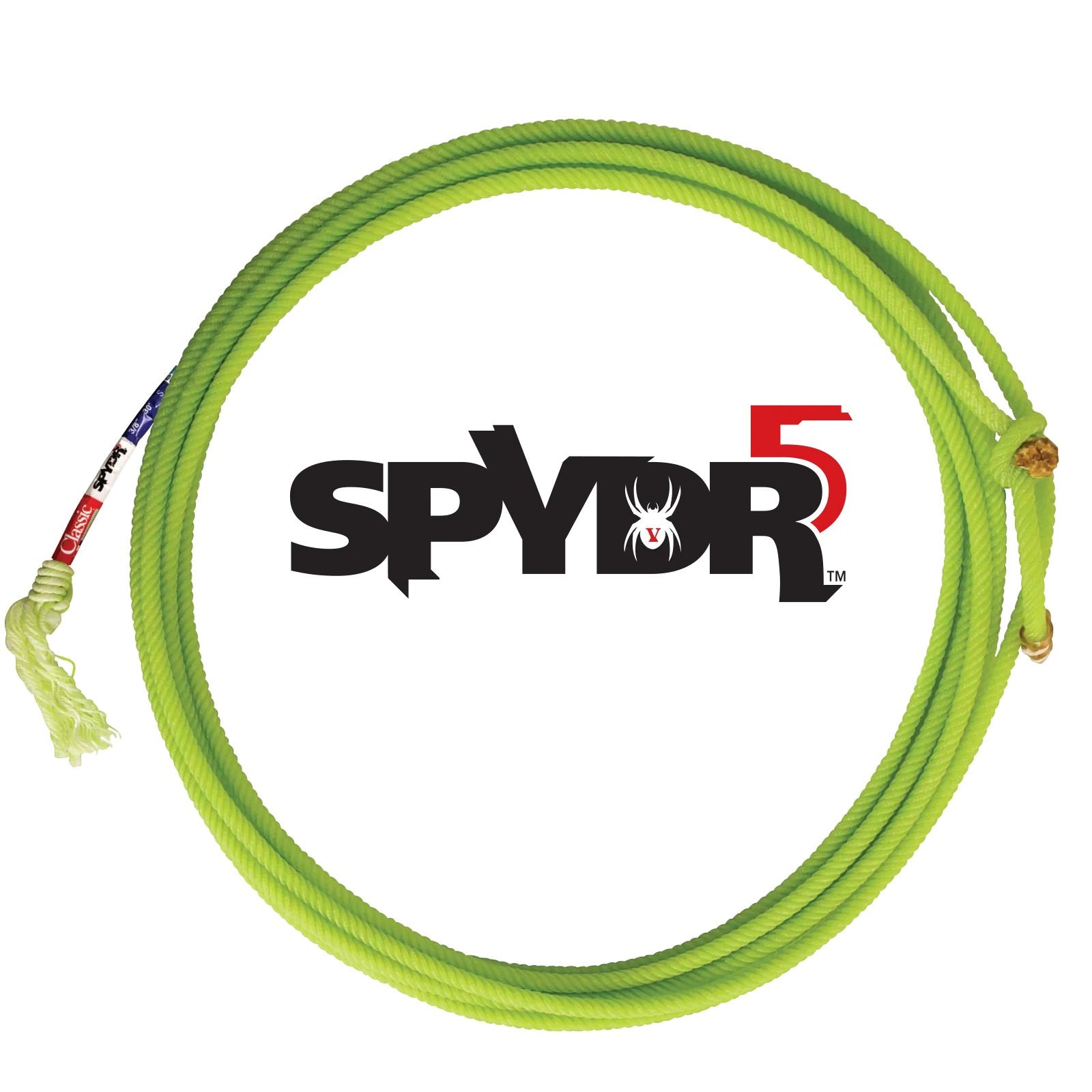 SPYDR